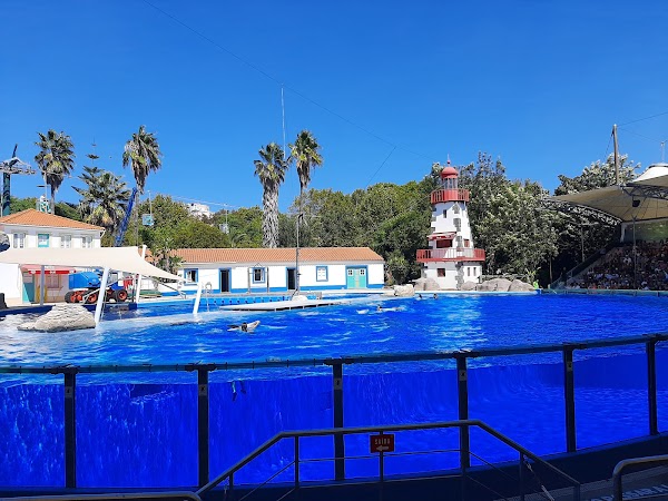 Jardim Zoológico 5