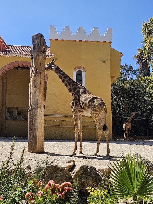 Jardim Zoológico 4