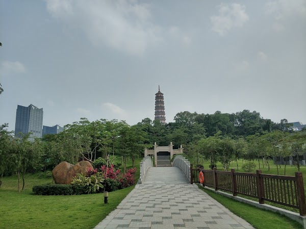 琶洲塔 5
