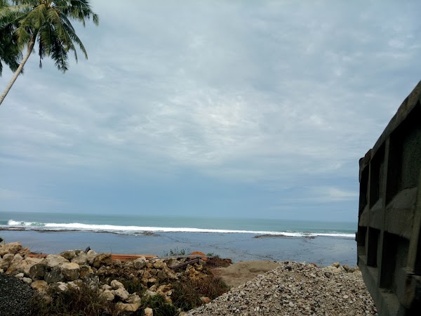 Nias
