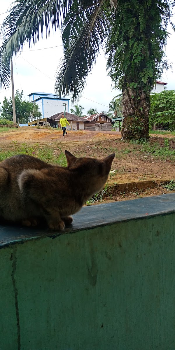 Tanjung Harapan 3