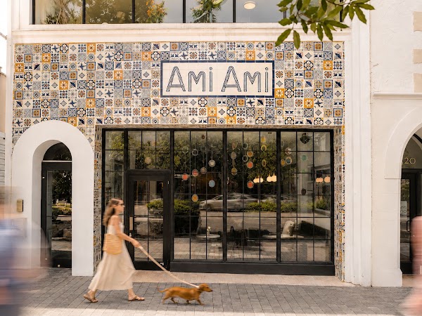 Ami Ami 1