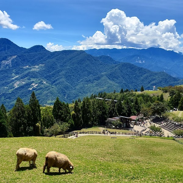 Qingjing Farm 5