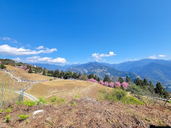 Qingjing Farm 3