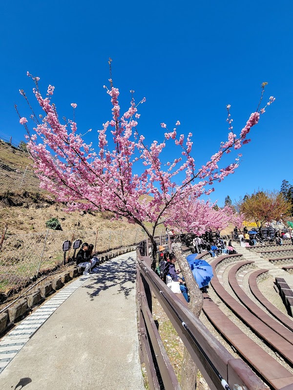 Qingjing Farm 2
