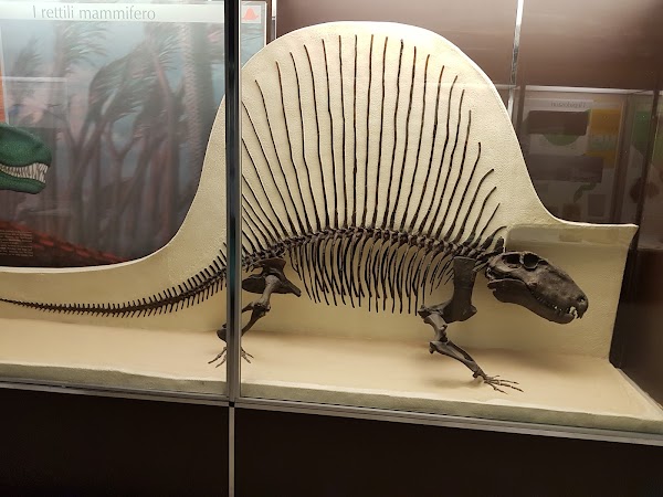 Milan Natural History Museum