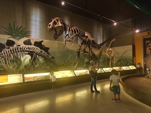 Milan Natural History Museum 4