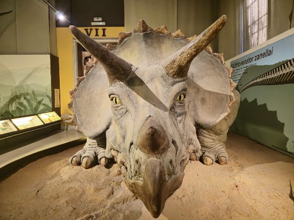 Milan Natural History Museum 3