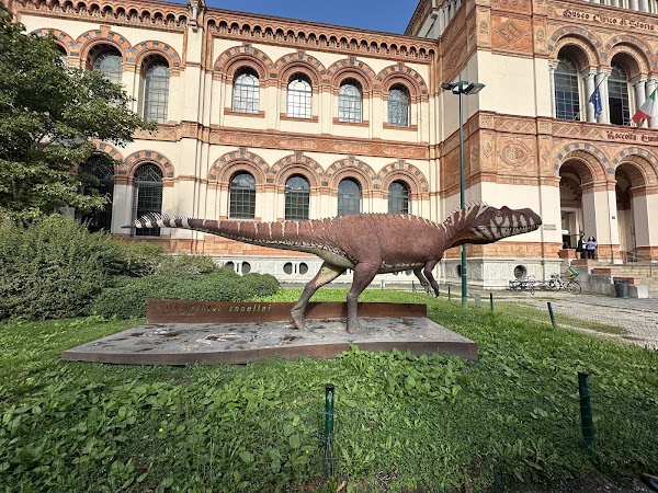 Milan Natural History Museum 2