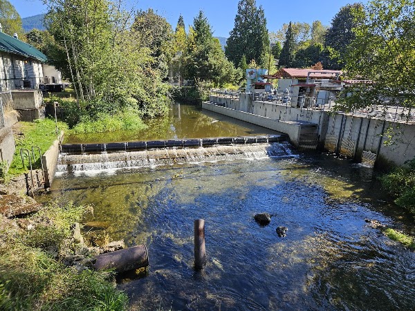 Issaquah State Salmon Hatchery 1