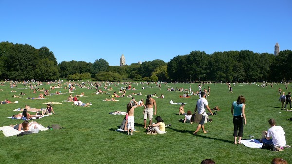 The Great Lawn 3