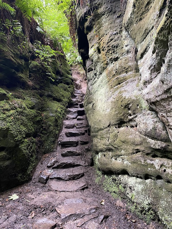 Dunino Den 1