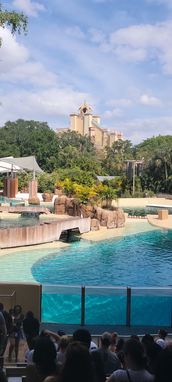 Orlando 2