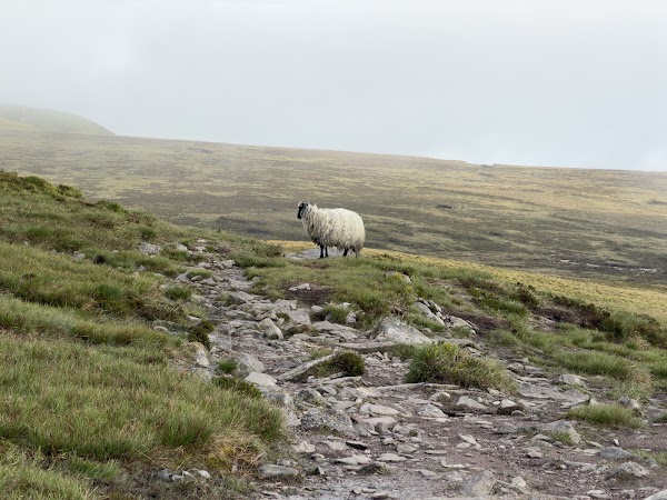 Coumshingaun Lough 2