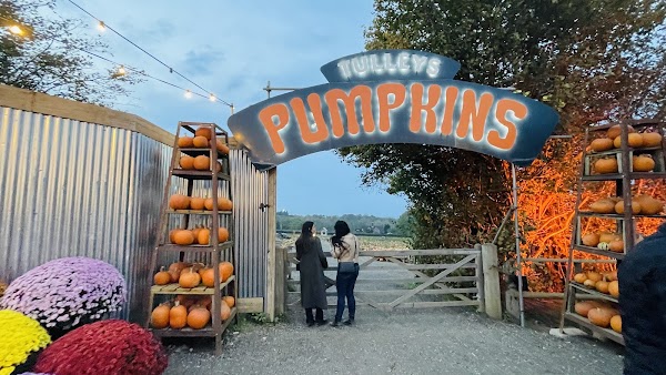 Tulleys Pumpkin Festival