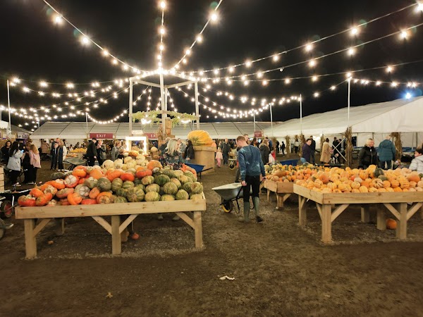 Tulleys Pumpkin Festival 4