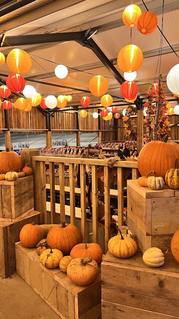 Tulleys Pumpkin Festival 3
