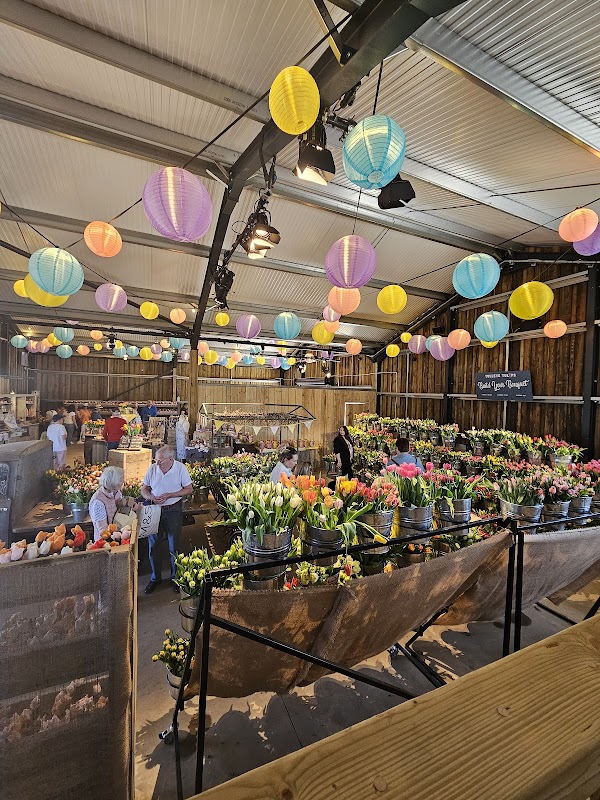 Tulleys Pumpkin Festival 2