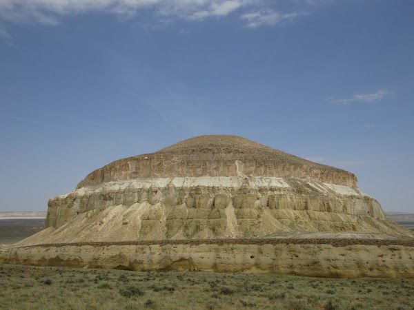 Test 95