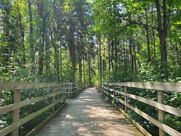 Island Lake Conservation Area 5