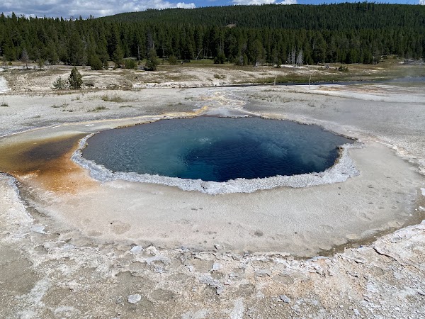 Crested Pool