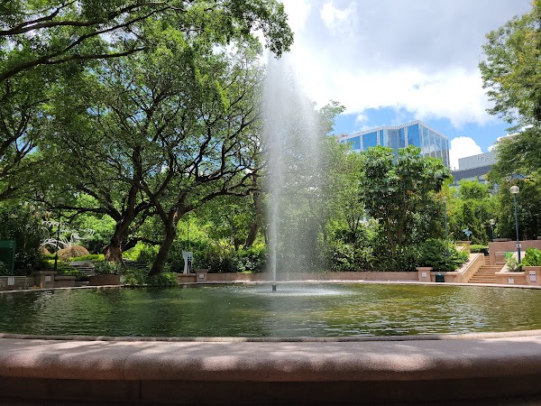 Kowloon Park 5
