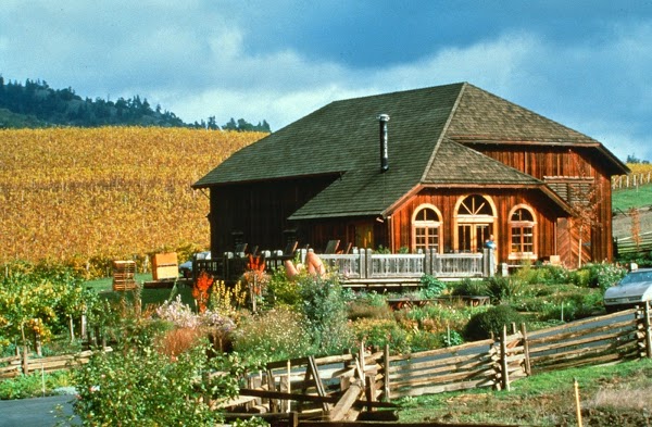 Navarro Vineyards & Winery 3