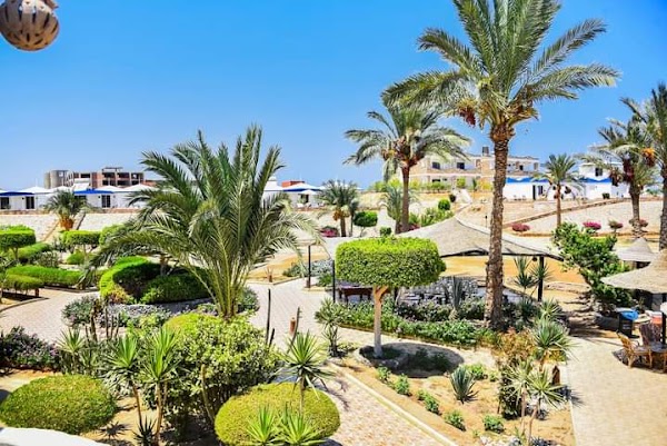 Coral Garden Resort and Dive Centre