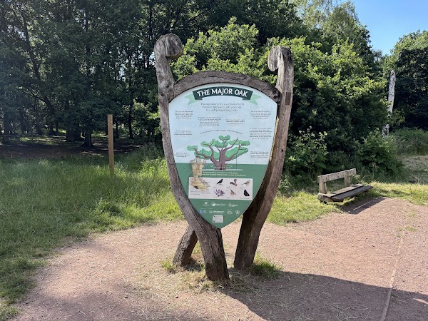 Sherwood Forest 4