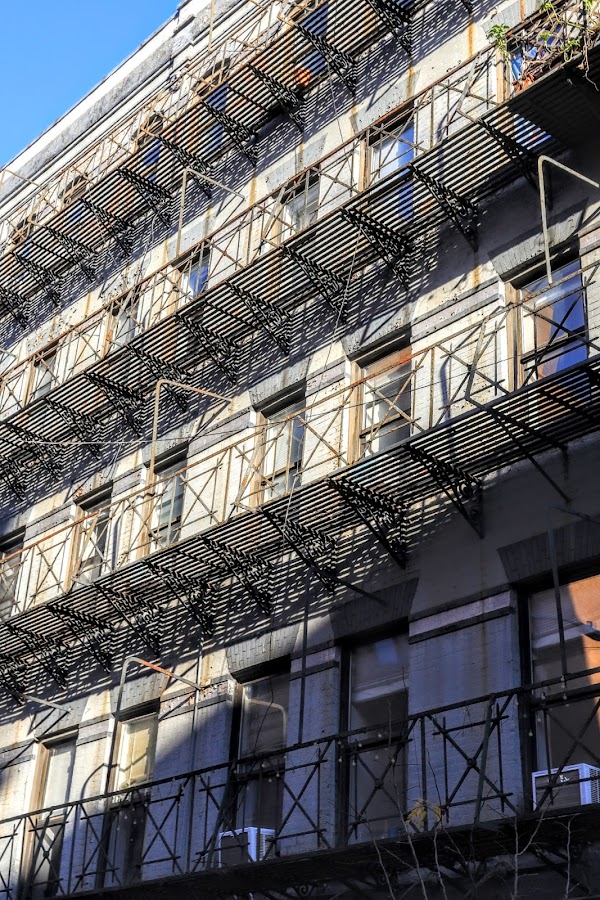 Nolita 5
