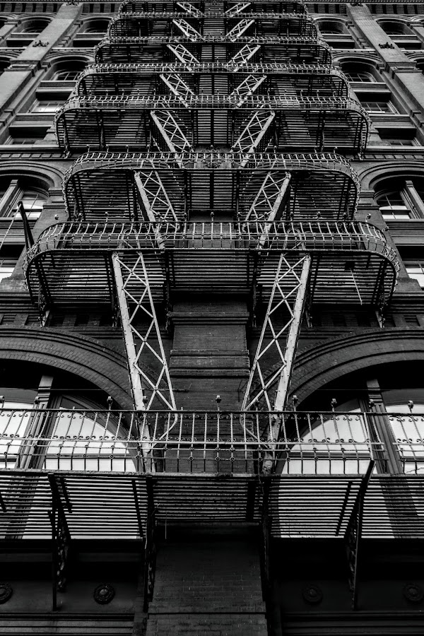 Nolita 2