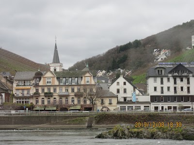 K-D Ferry - Loreley Cruise or Castle Cruise - Rüdesheim am Rhein
