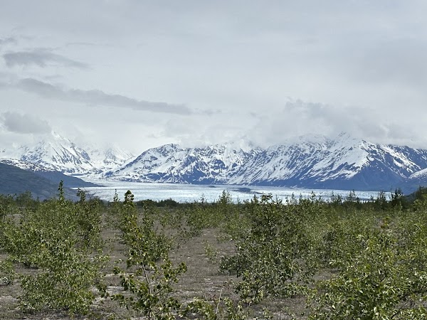 Knik Glacier Tours 2
