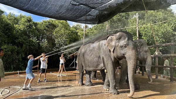 Kulen Elephant Forest 5