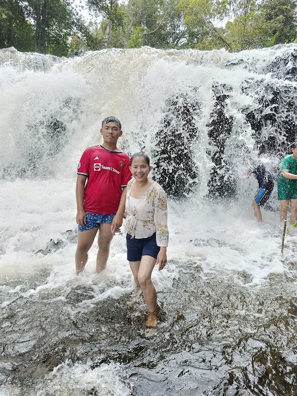 Kulen Elephant Forest 3