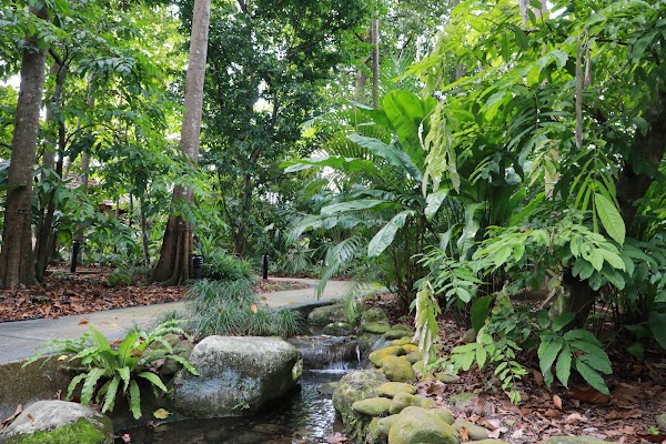 Nature Immersion Trail at Saraca Stream