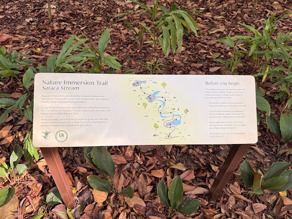 Nature Immersion Trail at Saraca Stream 4