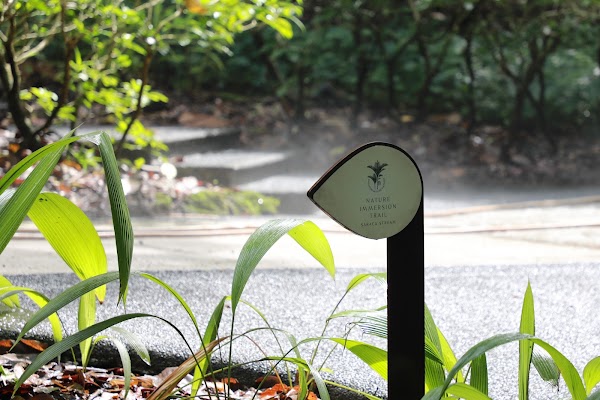 Nature Immersion Trail at Saraca Stream 3