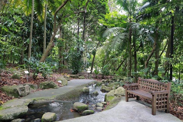 Nature Immersion Trail at Saraca Stream 2