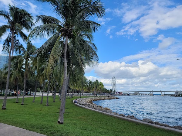 Bayfront Park 4
