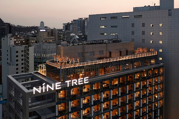 Nine Tree by Parnas Seoul Myeongdong II 1