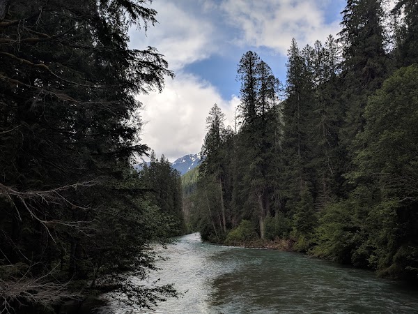 Colonial Creek South Campground 2