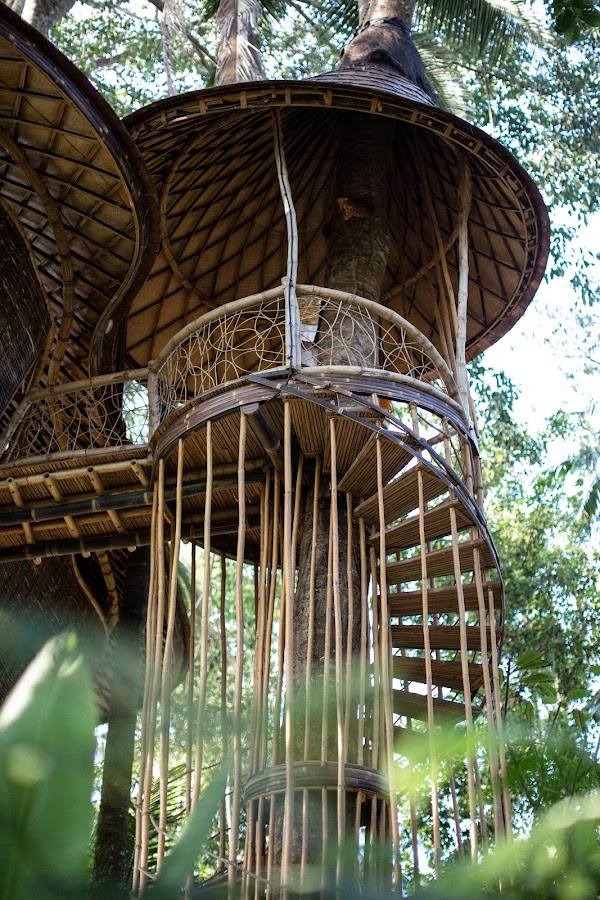 Bambu Indah 1