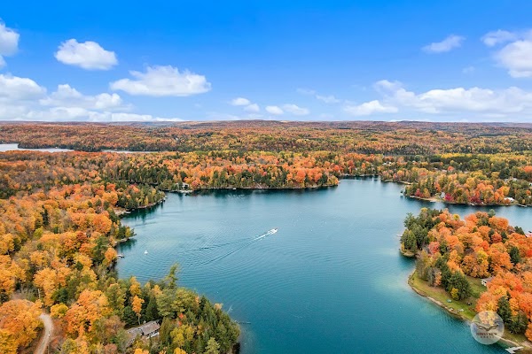 Haliburton 3