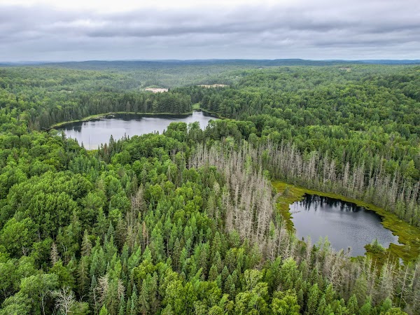 Haliburton 2