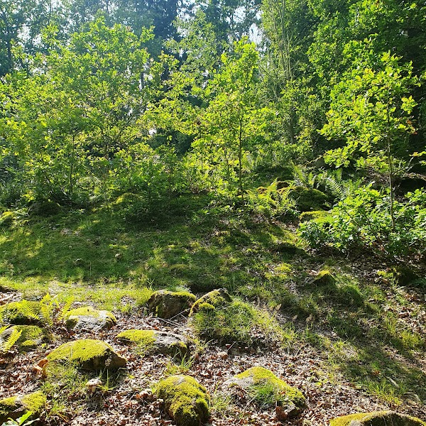 Tångestad fornborg 1