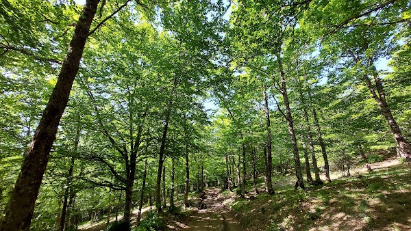Nebrodi Park