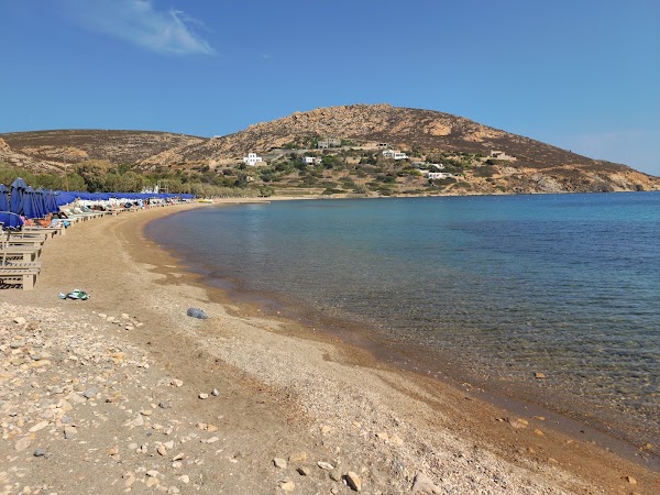 Paralia Agriolivado