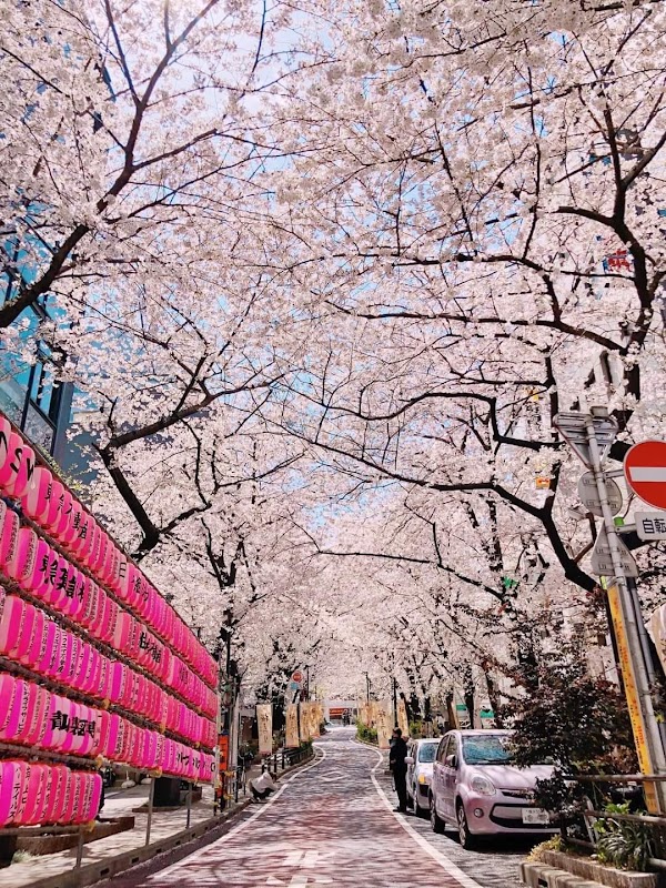 Tokyo 23 wards 3