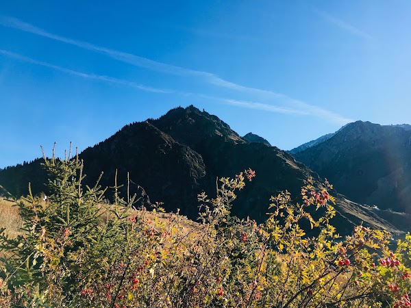Tianchi 3